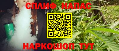 МДПВ Ливны