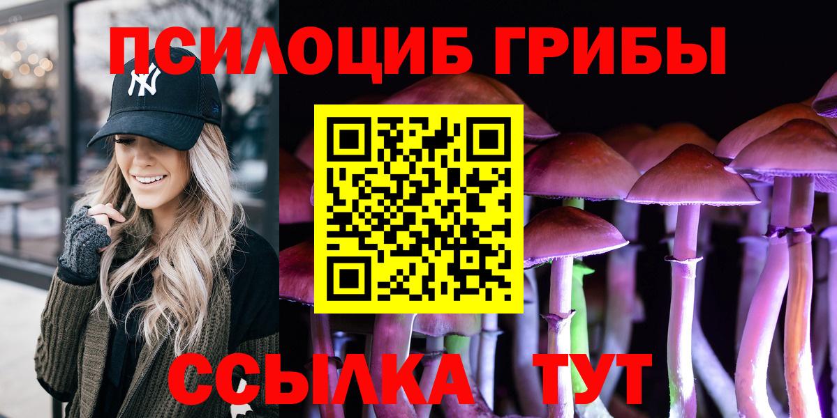 Саранск  Псилоцибиновые грибы Psilocybe  Вход с VPN 