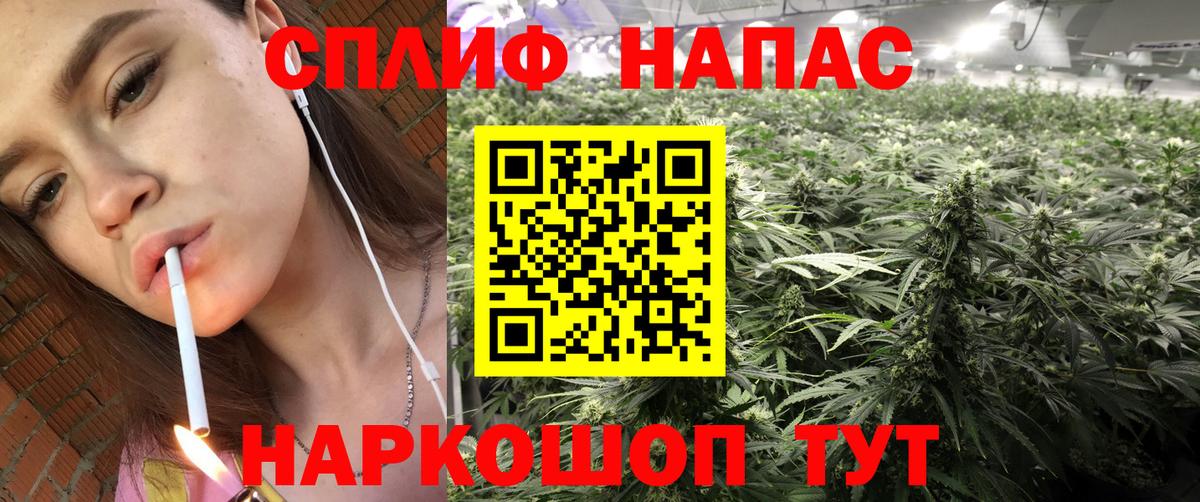 Саранск  Шишки марихуана Bruce Banner  Вход с VPN  Шишки марихуана сатива 